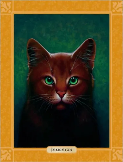 Bon merci de faire ce quiz, ce n'est pas le plus fr&eacute;quent donc je me dis que &ccedil;a peut &ecirc;tre sympa ! Bref, commen&ccedil;ons. Qui sont ses parents ?