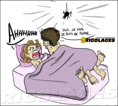 Parmi ces trois insectes, quelle femelle n'a pas d'orifice sexuel ?