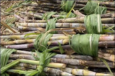 Associez un &eacute;v&egrave;nement &agrave; cette photo !