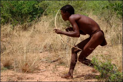 Il vit en Afrique, dans le kalahari, quelle est son activit&eacute; ?