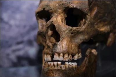 L'homo luzonensis, surnomm&eacute; l'homme de Lu&ccedil;on a v&eacute;cu de -700 000 &agrave; -50 000, c'est le petit nouveau, d&eacute;couvert seulement en 2019, il est adapt&eacute; aux for&ecirc;ts tropicales mais a une absence totale de relations publiques. O&ugrave; est-il localis&eacute; ?