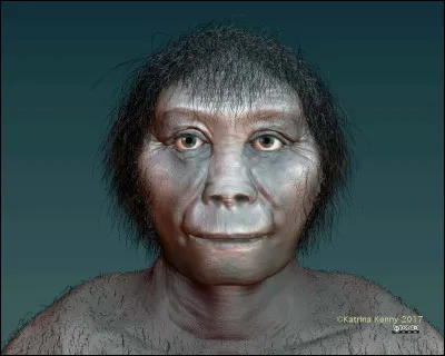 L'homo floresiensis, surnomm&eacute; l'homme de Flor&egrave;s, a v&eacute;cu sur l'&icirc;le de Flores en Indon&eacute;sie de -800 000 &agrave; -50 000. Il chasse l'&eacute;l&eacute;phant nain et le l&eacute;zard g&eacute;ant de l'&icirc;le de Flor&egrave;s. Il est casanier et n'a jamais quitt&eacute; son &icirc;le.On utilise un surnom original pour parler de lui. Quel est ce surnom ?