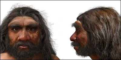 Et enfin le seul homme restant : l'homo sapiens surnomm&eacute; l'homme sage. Il se croit plus malin que les autres, il est fort pour fabriquer des outils, qui vont des brosses &agrave; dents aux missiles intercontinentaux. Il a un &eacute;norme &eacute;go et est souvent pr&ecirc;t &agrave; croire n'importe quoi. Il pourrait avoir disparu d'ici 2100. Quand est-il apparu ?