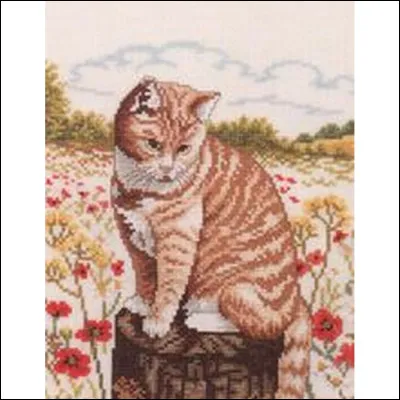 Qui &eacute;tait l&agrave;, quand Feuille de Lune a accouch&eacute; ?