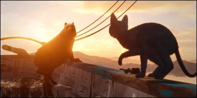 J'ai été assassinée par Museau Balafré...