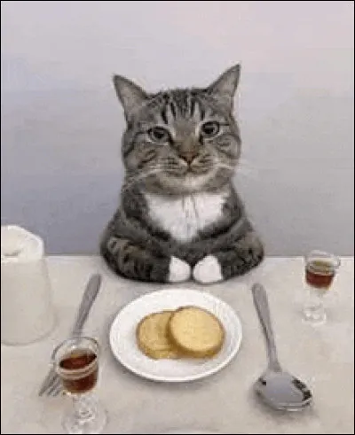 Quel est le type d'aliment préféré du Gold ?