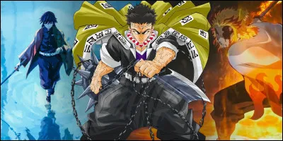 Tu aimerais avoir les cheveux...