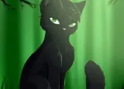 Quiz LGDC ~ Feuille de Houx