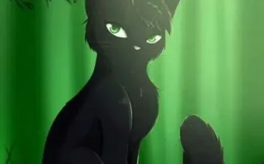 Quiz Litt�rature, po�sie