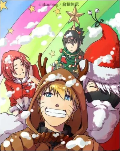 Par quoi le p&egrave;re No&euml;l n�entre-t-il pas dans les maisons ?