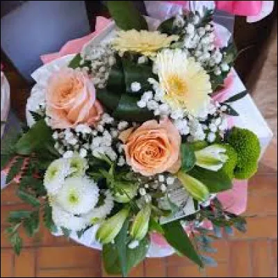 Quelle est ta fleur pr&eacute;f&eacute;r&eacute;e ?