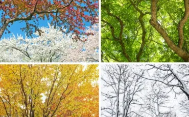 Quiz Test de personnalit�