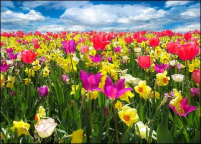 Quelle couleur pr&eacute;f&egrave;res-tu ?