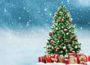 Quiz Comment faire un sapin de Nol ?