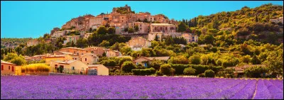 Quel monument ne retrouve-t-on pas dans cette grande ville ?