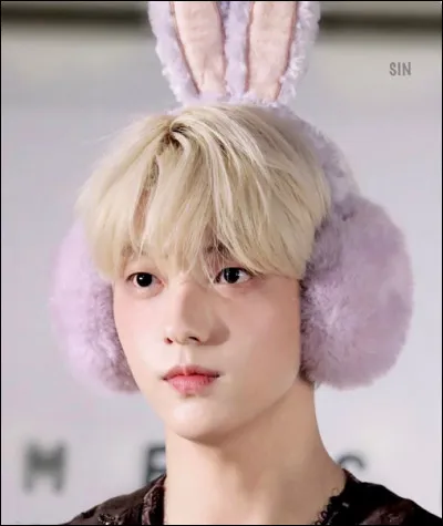 Quelles sont ses couleurs pr&eacute;f&eacute;r&eacute;es ?