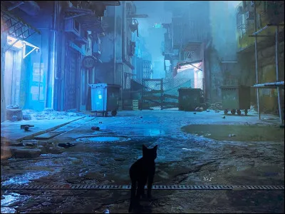 Quel animal incarnes-tu dans ce jeu ?