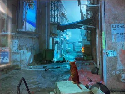 O&ugrave; tombe notre chat pour arriver dans des souterrains ?