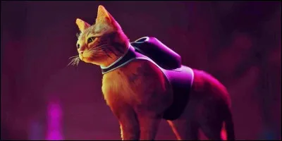 Mais au fait, comment s'appelle le petit robot (ou drone) qu'a le chat ?