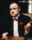 Quel est le nom de famille du parrain interprt par Marlon Brando ?