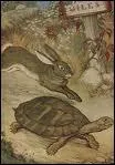 Quelle est la morale de la fable de La Fontaine, ' le livre et la tortue' ?