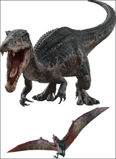 Qui sont les braconniers ?