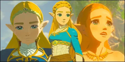 Qui jure de prot&eacute;ger Zelda ?