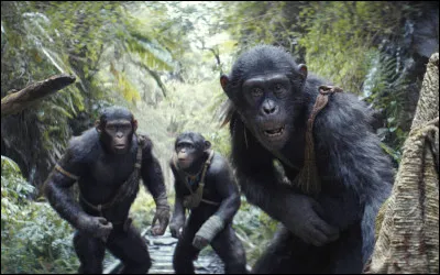 Comment s’appelle le singe principal dans La Plan&egrave;te des Singes ?