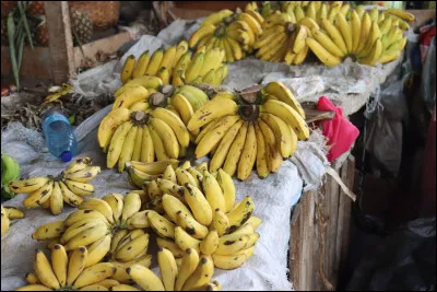 Vrai ou faux : les bananes sont des baies.