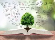 Quiz Culture générale (83)