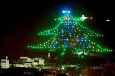 Quel est le pays le plus grand fournisseur de sapins de No&euml;l au monde ?