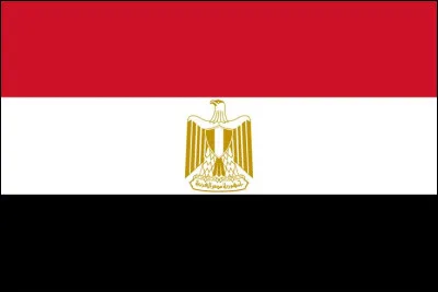 Quel drapeau est visible dans l'image ?