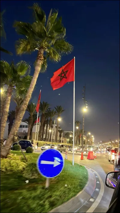 Quel drapeau est visible dans l'image ?