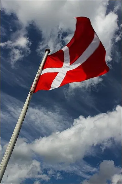 Quel drapeau est visible dans l'image ?