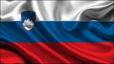 Quel drapeau est visible dans l'image ?