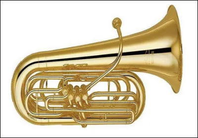Quel est le nom de cet instrument de musique de la famille des cuivres ?