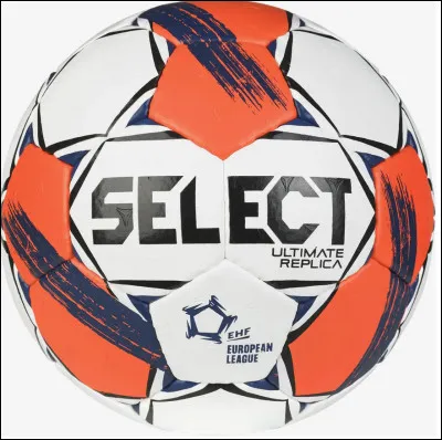 Quel sport se pratique avec ce ballon ?