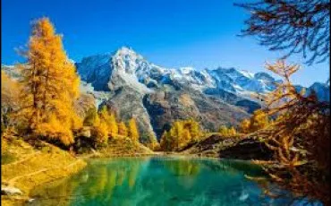 Quiz Culture g�n�rale