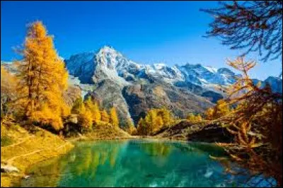 De quelle couleur est le logo du site Facebook ?