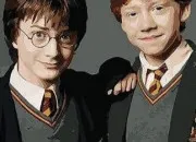 Quiz Harry Potter ou Ron Weasley ?