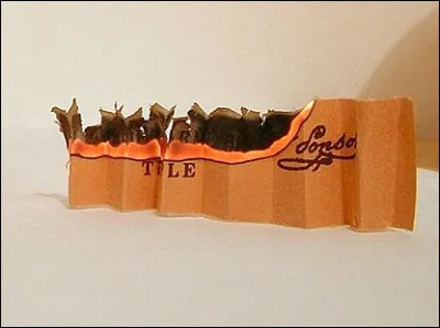 En a&eacute;ronautique, EK est l'immatriculation des avions...