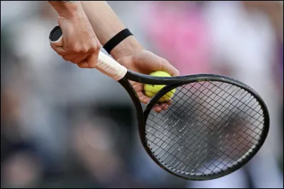 Qui a &eacute;t&eacute; le plus longtemps num&eacute;ro 1 mondial de tennis (237 semaines) ?