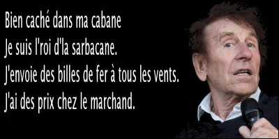 Les paroles de la chanson "J'ai dix" d'Alain Souchon, sont-elles exactes ?