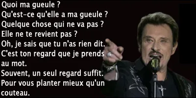 Les paroles de la chanson "Ma gueule" de Johnny Hallyday sont-elle exactes ?