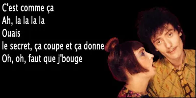 Les paroles de la chanson "C'est comme &ccedil;a" des Rita Mitsouko sont-elles exactes ?