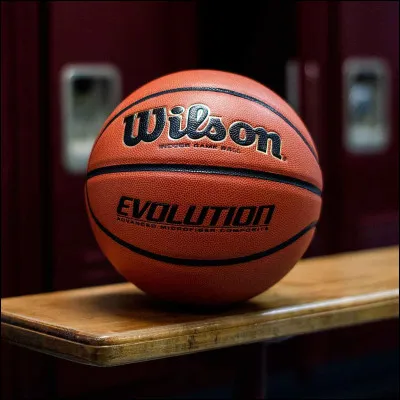 Quel sport utilise une balle et des paniers en &eacute;quipe de 5 sur le terrain ?