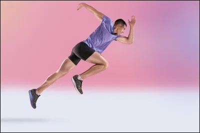 Quel animal est le plus rapide sur terre ?