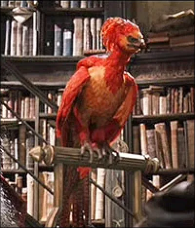 &Agrave; quel personnage d'une c&eacute;l&egrave;bre saga cin&eacute;matographique appartient le ph&eacute;nix nomm&eacute; Fumseck ?