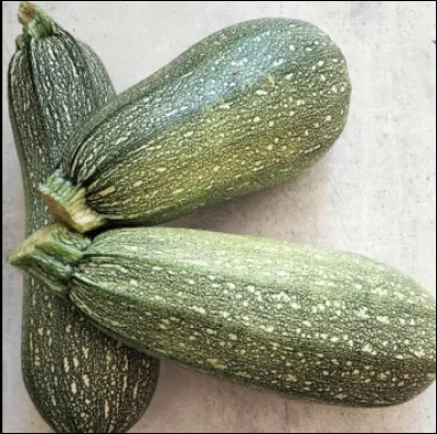 Quel est cet aliment ?