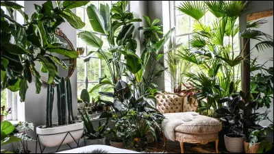 Vrai ou faux : Les plantes produisent de l�oxyg&egrave;ne gr&acirc;ce &agrave; la photosynth&egrave;se.